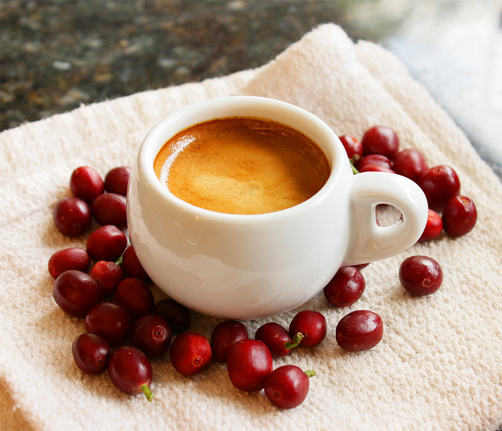 El secreto mejor guardado del café: sus antioxidantes